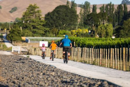 Safe-Cycle-Trails-around-the-Vinyards-of-Havelock-North-1600x1067